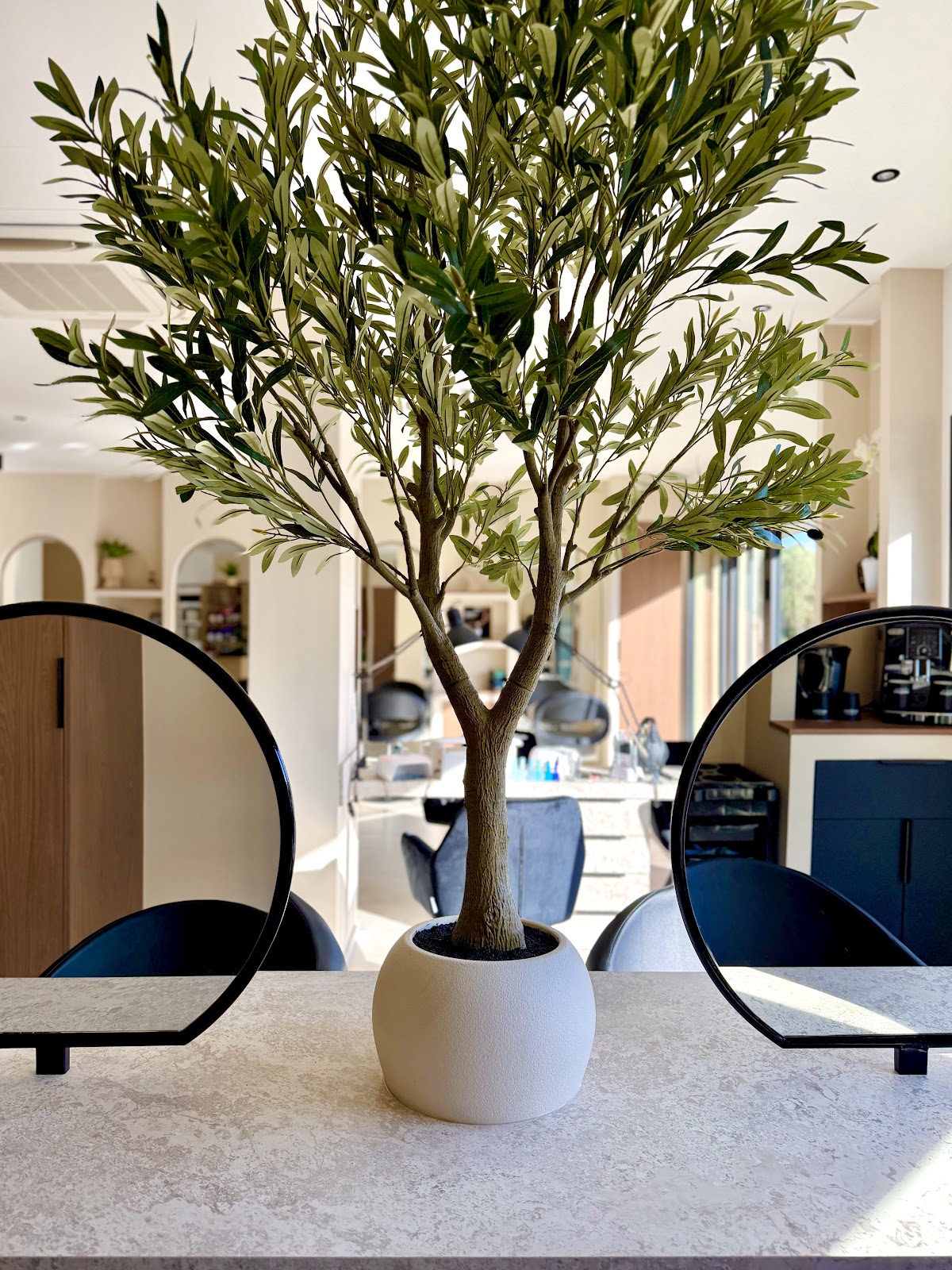 Potted olive tree in the salon near mirrors and product shelves